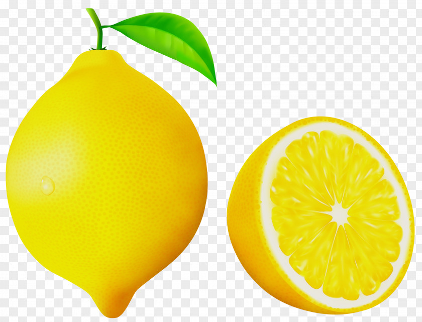 Clip Art Sour Lemonade Juice PNG