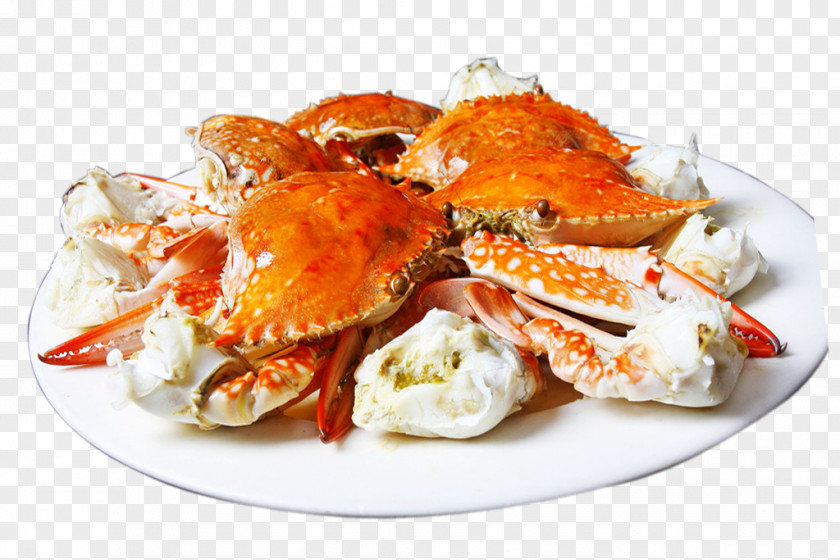Crab Dungeness Chinese Mitten PNG
