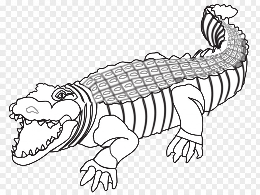 Crocodile Crocodiles Alligator Black And White Drawing PNG