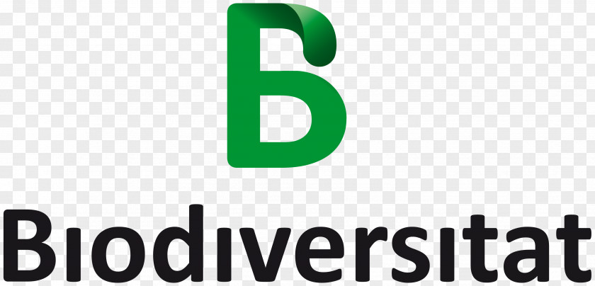 Diver Four Brothers Group Pakistan Business Partnership Innovation Company PNG