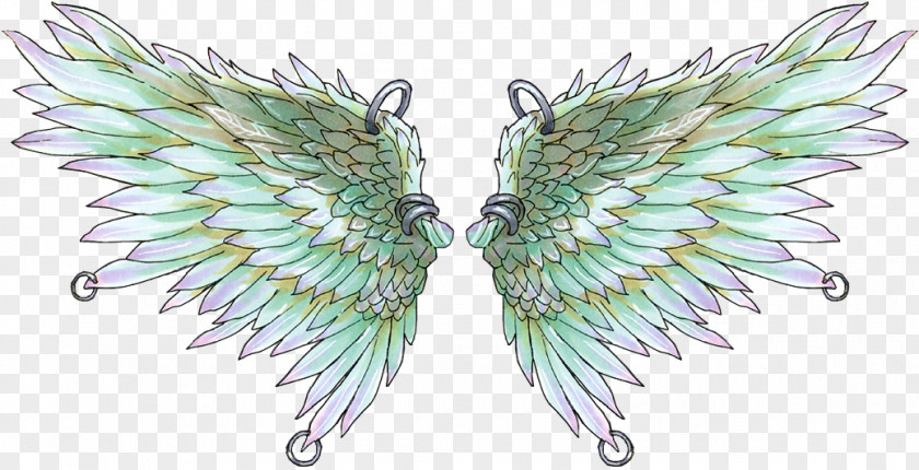 Feather Drawing Angel Wing Art Buffalo PNG