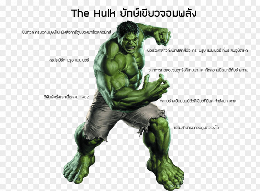 Hulk Iron Man Spider-Man Thor Marvel Comics PNG
