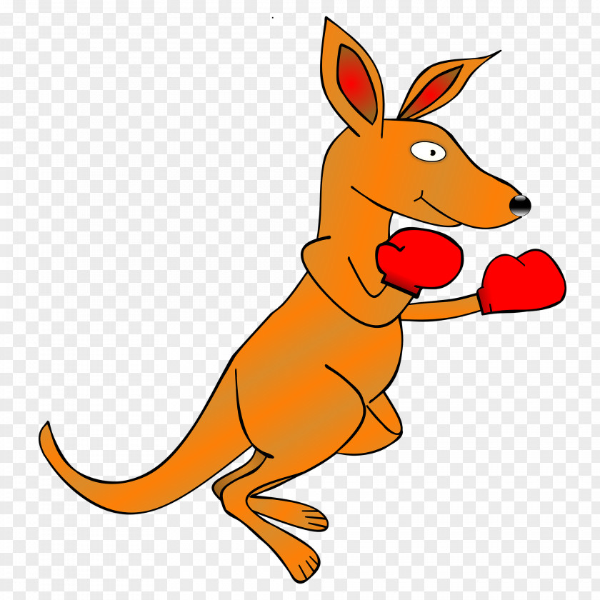 Jerky Kangaroo Desktop Wallpaper Clip Art PNG
