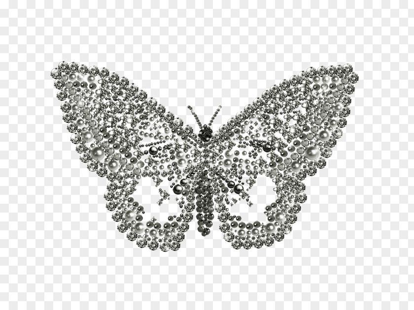 Pollinator Business Clip Art Butterfly Image Desktop Wallpaper PNG
