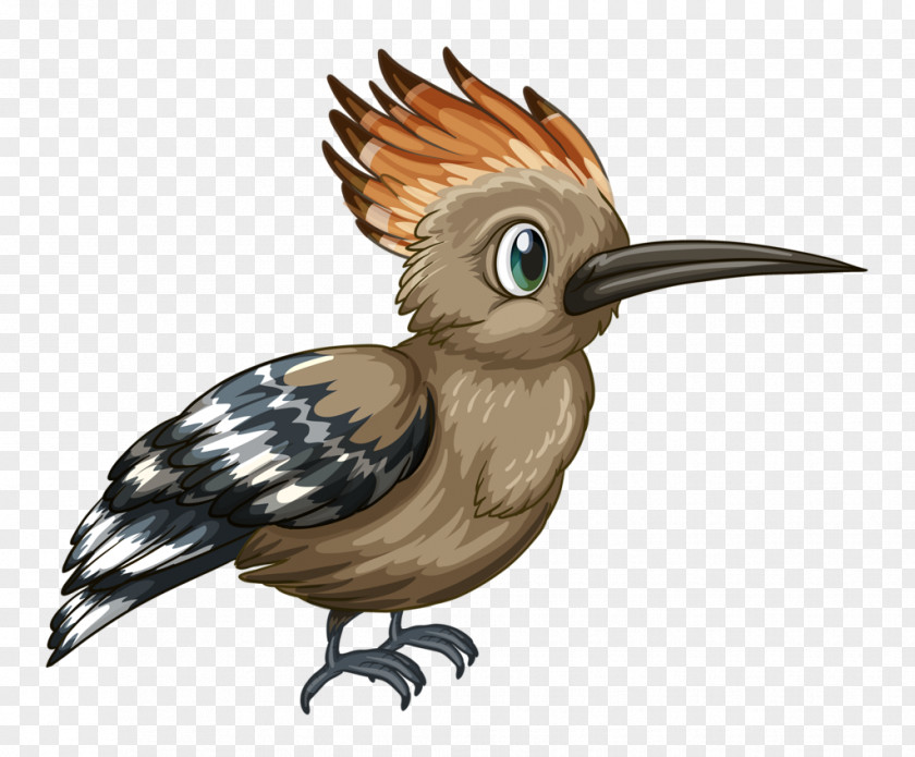 Bird Clip Art PNG