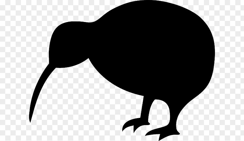 Birds Cartoon Silhouette Bird New Zealand Clip Art PNG