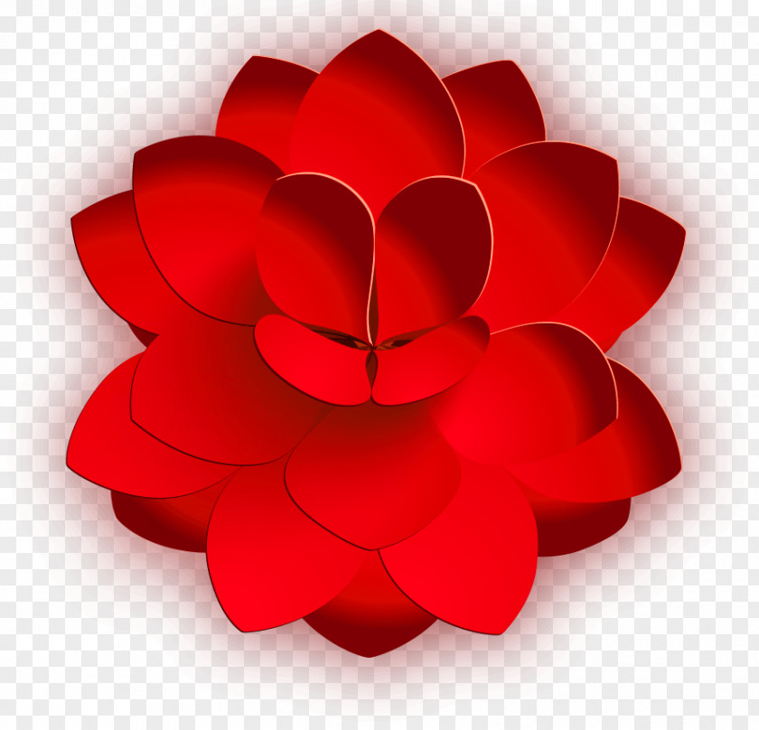 Bloemenkrans Graphic Image Flower Red Vector Graphics PNG