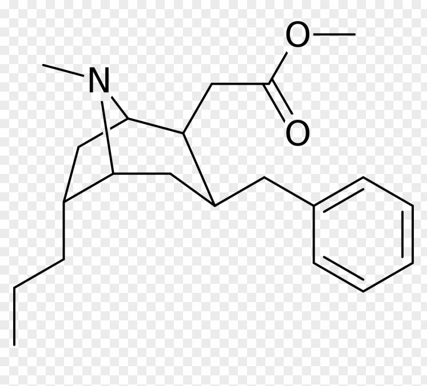 Cocain Phenyltropane Structural Analog Chemistry Chemical Compound Substance PNG