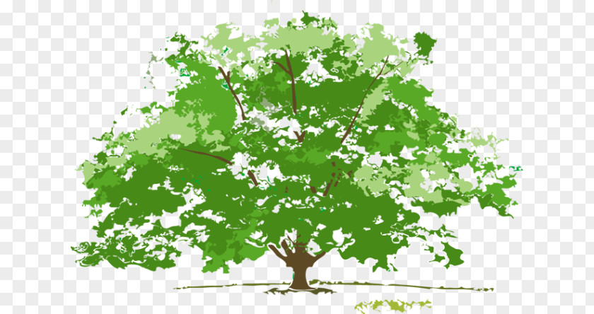 Summer Tree Cliparts Earth Four Seasons Hotels And Resorts Autumn Clip Art PNG
