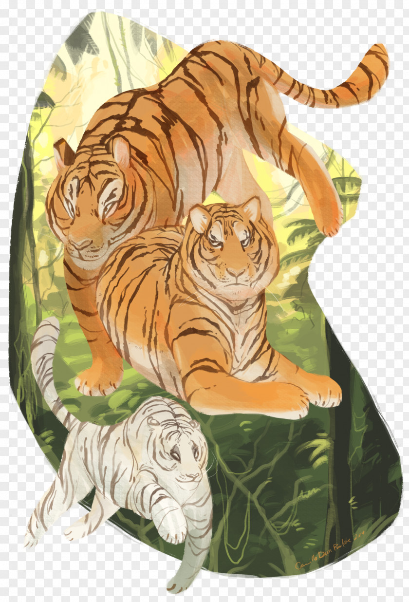 Tiger Lion Drawing Line Art PNG