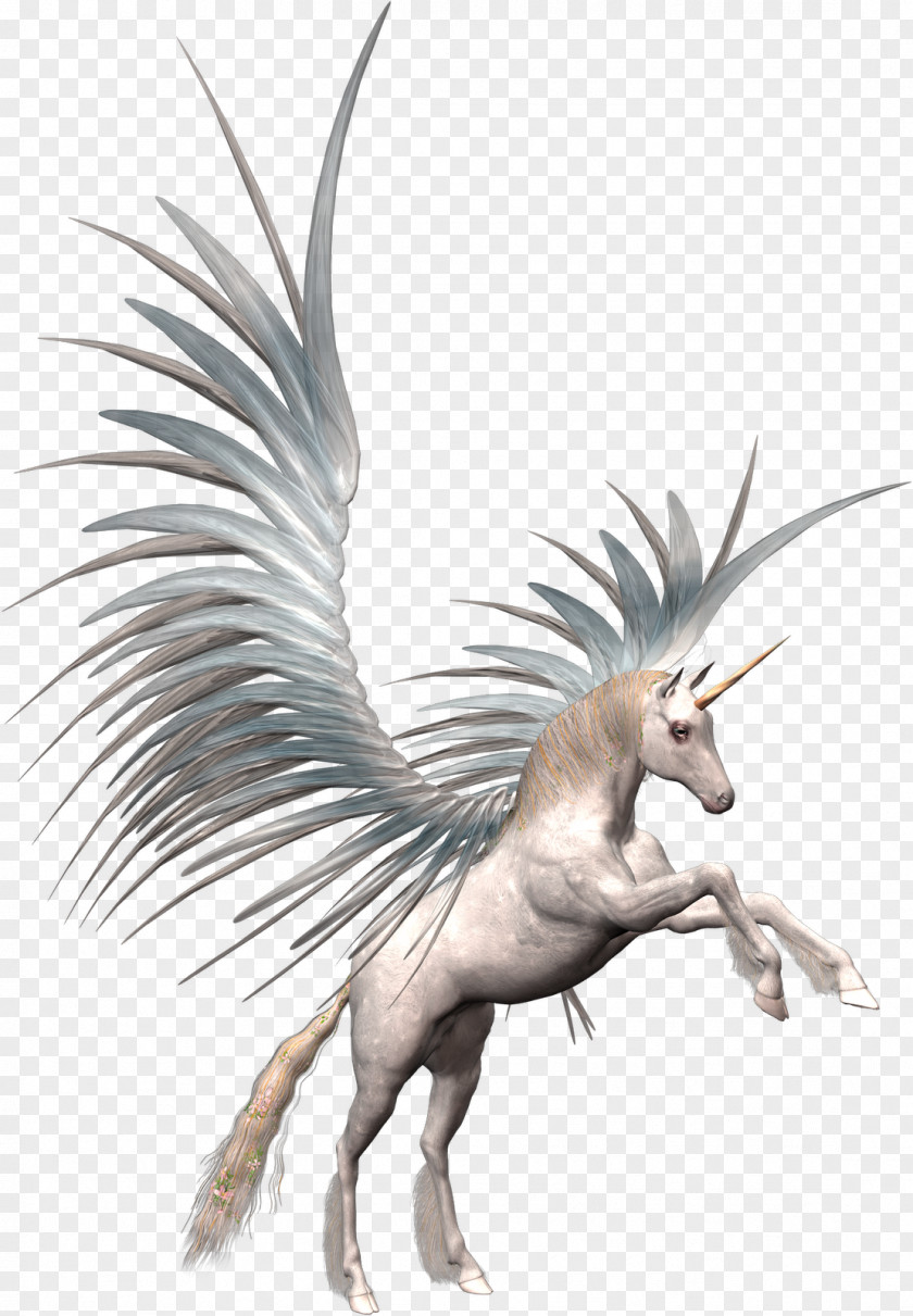 Unicornio Unicorn Pegasus Clip Art PNG