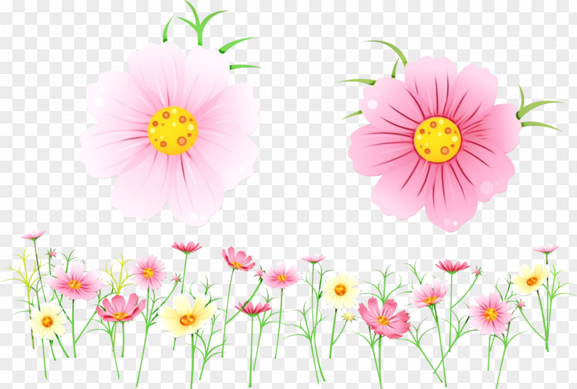 Cut Flowers Floral Design PNG