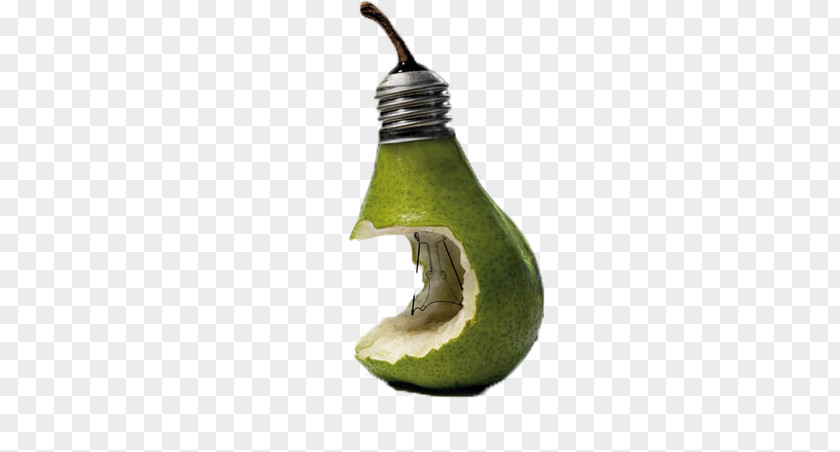 Pear Bulb Photo Manipulation Digital Art Photography Psychological PNG