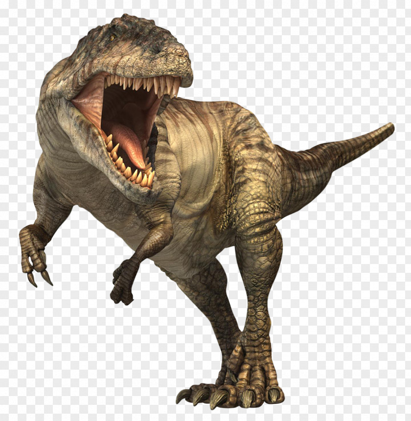 T Rex Giganotosaurus Tyrannosaurus Velociraptor Stegosaurus Triceratops PNG