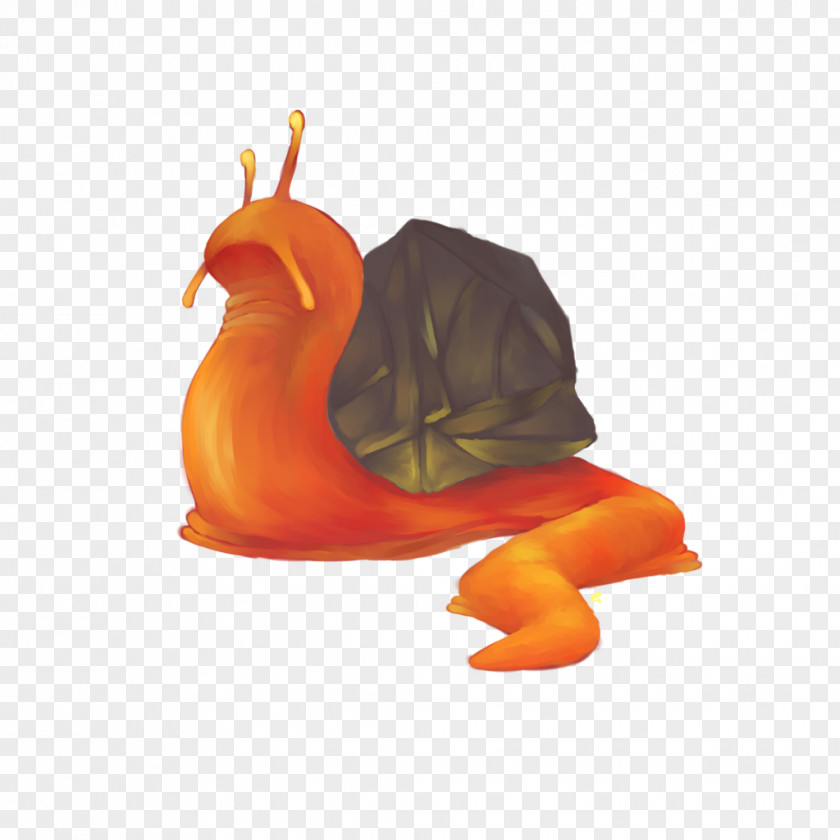 Watercolor Snail Animal Chicken As Food PNG