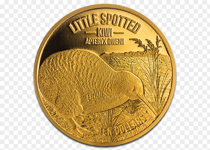 Coin Gold Little Spotted Kiwi Kapiti Island Troy Ounce PNG