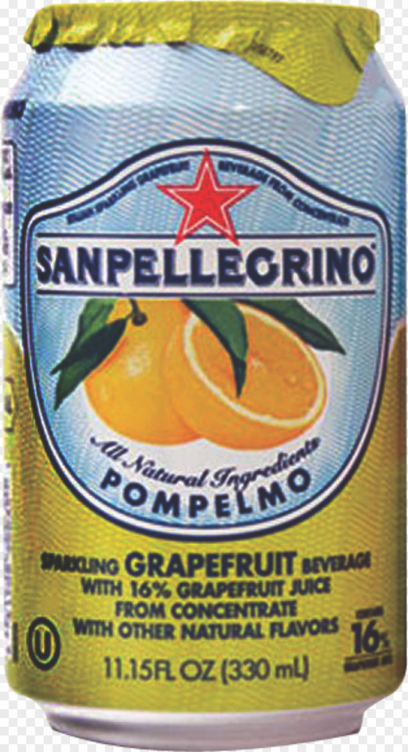 Drink Fizzy Drinks Mixer Carbonated Water S.Pellegrino Sanpellegrino S.p.A. PNG