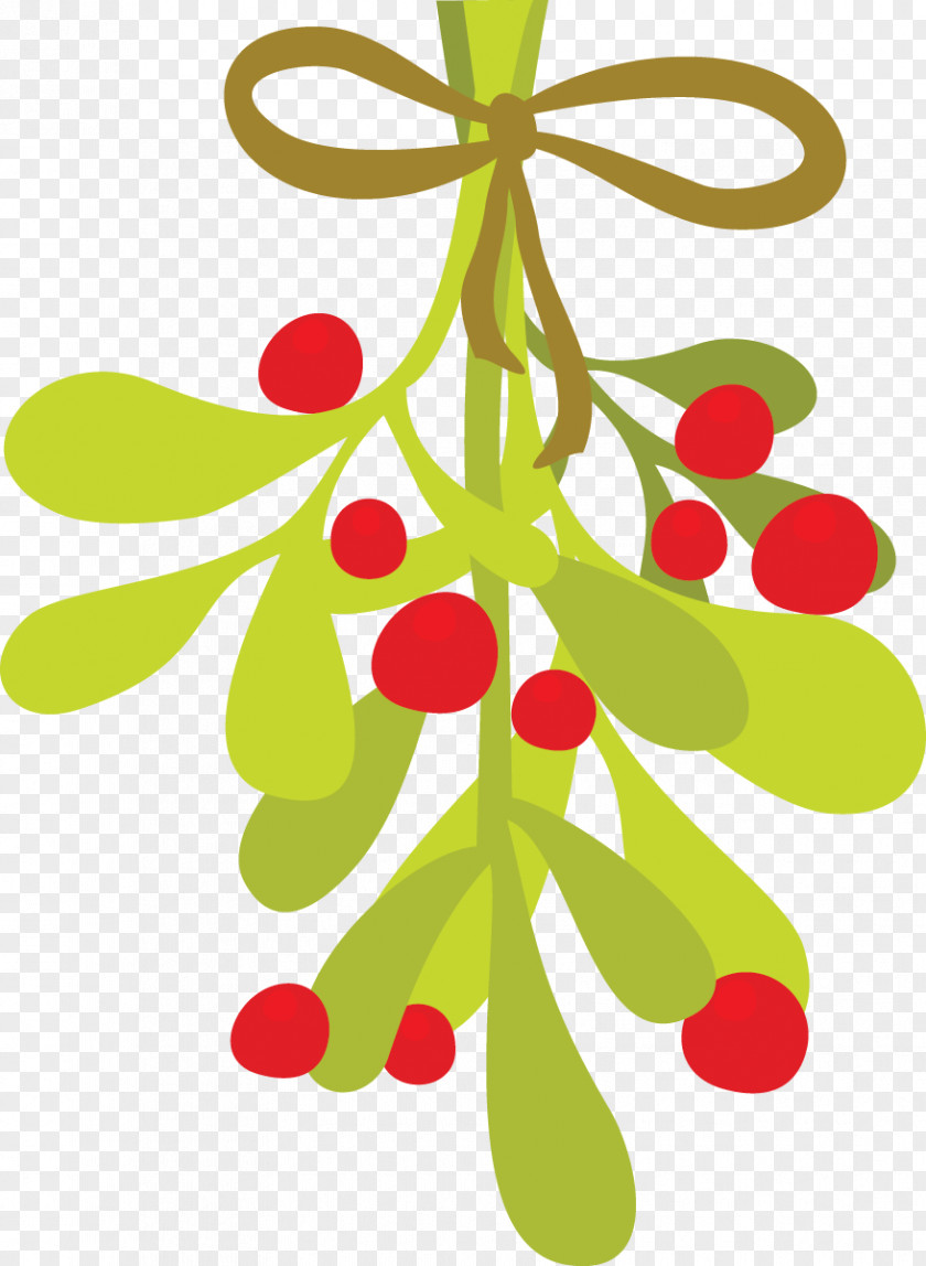 Mistletoe Cliparts Phoradendron Tomentosum Clip Art PNG