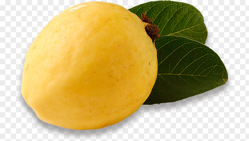 Organic Food Items Citron Lemon Superfood PNG