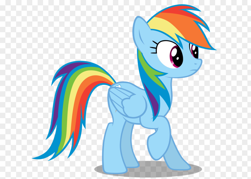 Rainbow Dash Rarity Pinkie Pie Twilight Sparkle Pony PNG