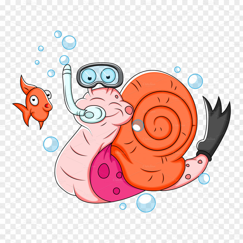 Snail Illustration Clip Art Vector Graphics Euclidean PNG