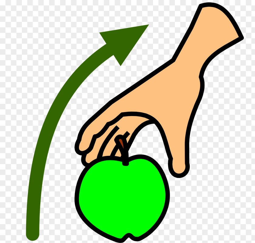 Symbol Leaf Clip Art PNG