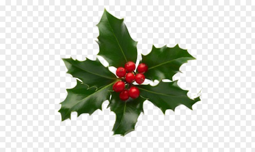 Christmas And Holiday Season Decoration Card PNG
