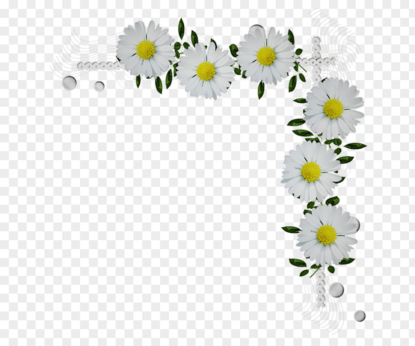 Cut Flowers Yellow Daisy PNG