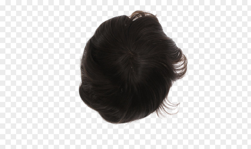 Hair Lace Wig Long Bun PNG