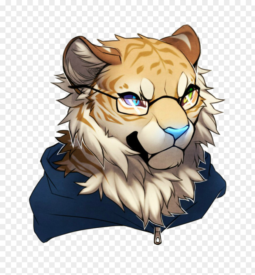 Lion Tiger Whiskers Snout PNG