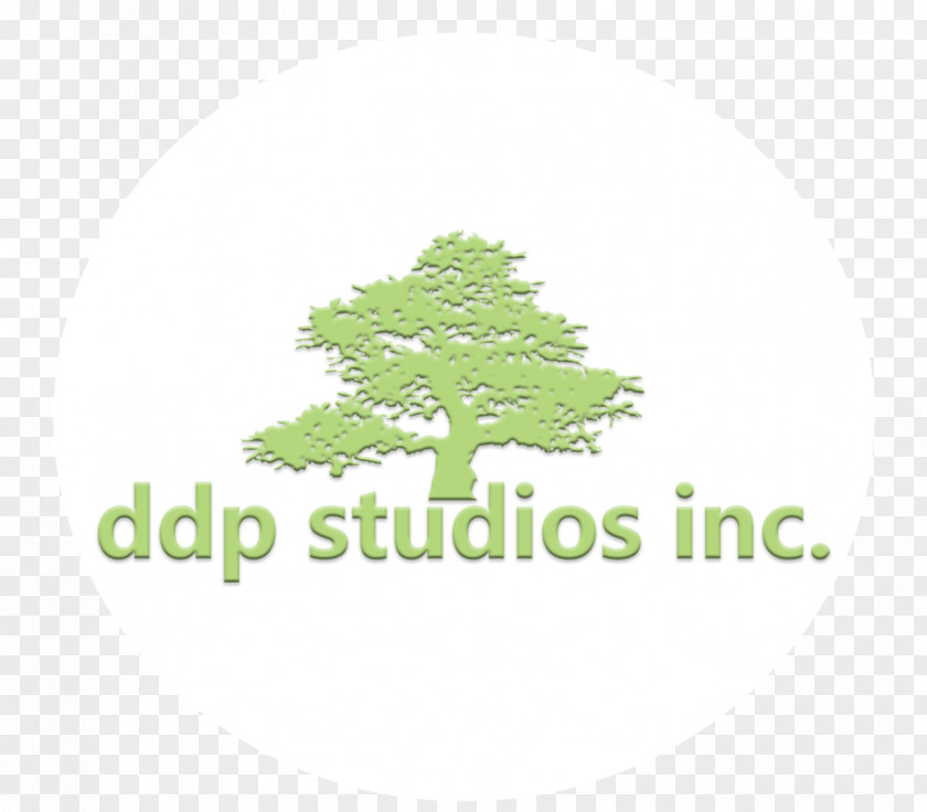Logo Font Tree Brand Leaf PNG
