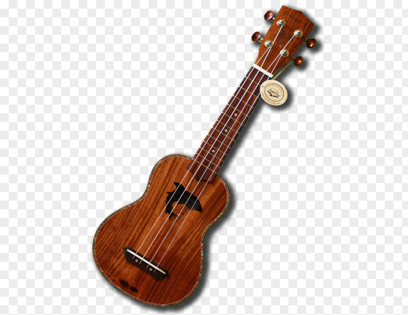 Ukulele Acoustic Guitar Acoustic-electric Music PNG guitar Music, clipart PNG