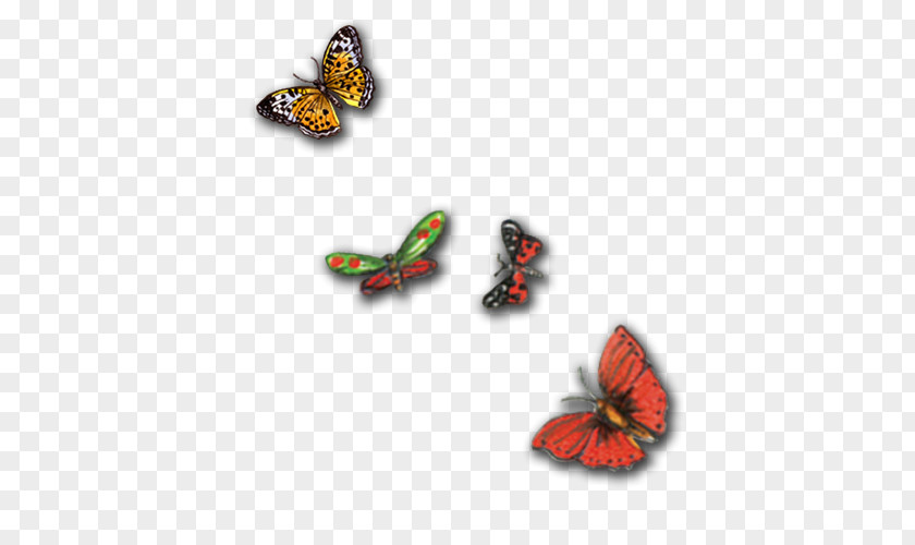 Butterfly Download PNG