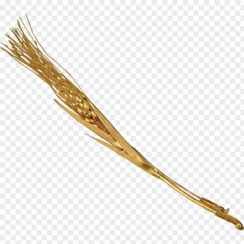 Ears Of Wheat Grasses Family PNG
