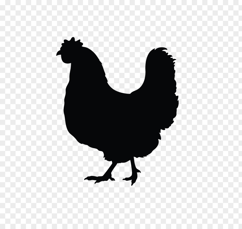 Simple Bird Silkie Rooster Silhouette PNG