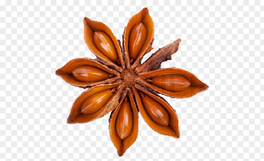 Star Anise Stock Photography PNG