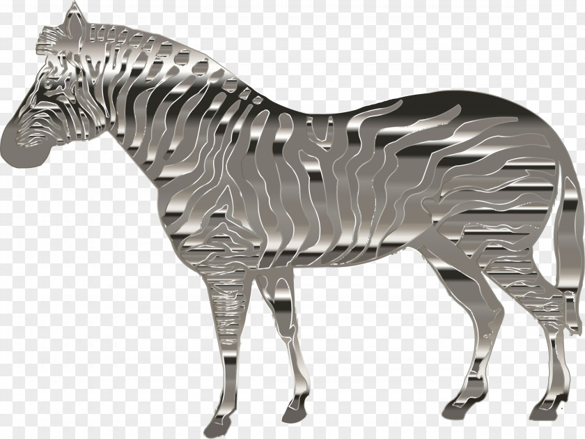 Zebra Horse Quagga Stallion PNG