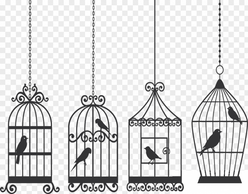 Arabesco Birdcage Lovebird PNG