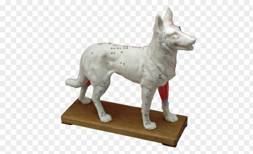 Dog Breed Acupuncture Hand-Sewing Needles Sculpture PNG