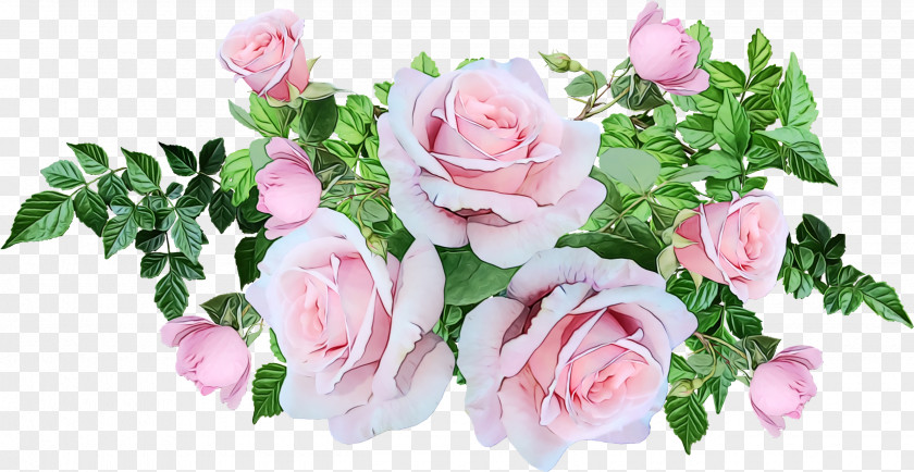 Garden Roses PNG