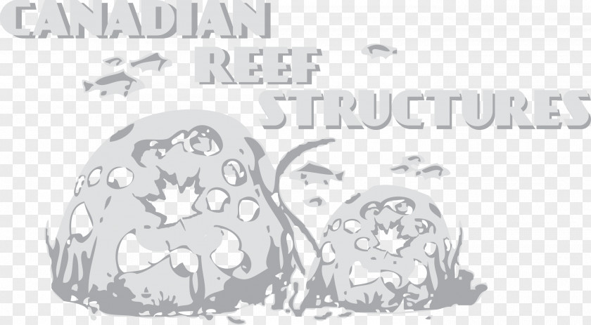 Reef Ball Foundation Line Art Brand Sketch PNG