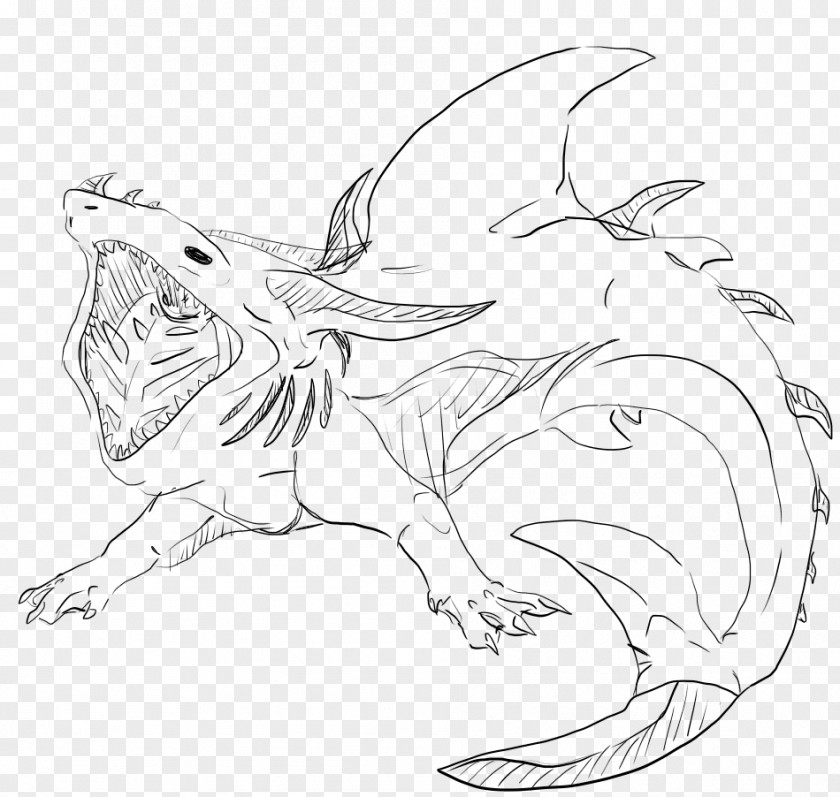 Shark Basking Line Art Drawing PNG