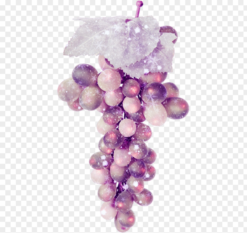 Vector Painted Grapes Wine Grape Christmas Pudding Fruit PNG