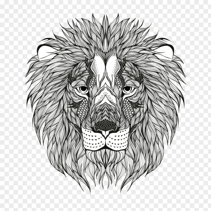 Lion Coloring Book Image Adult Drawing PNG