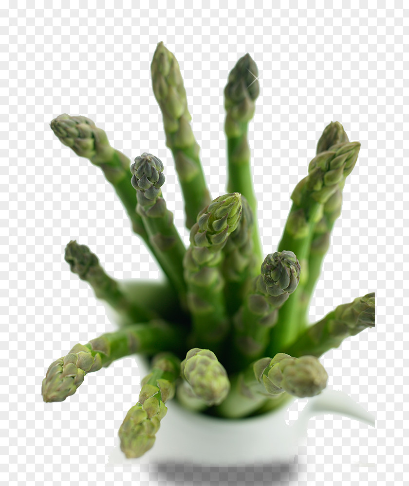 More Meat Plants Bud PNG