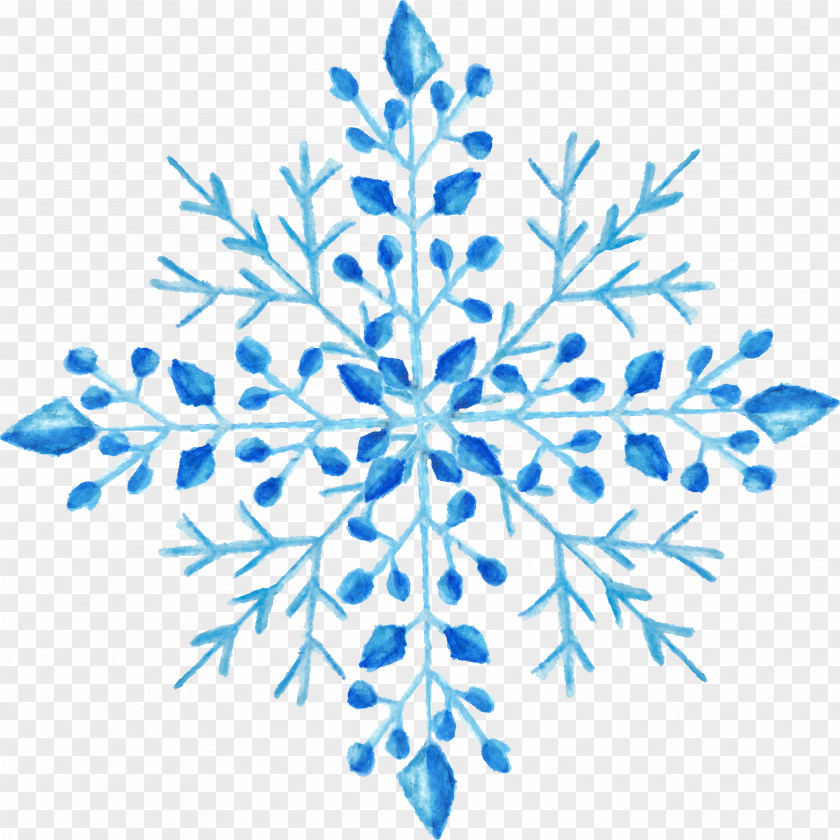 Watercolor Flowers Snowflake Painting PNG