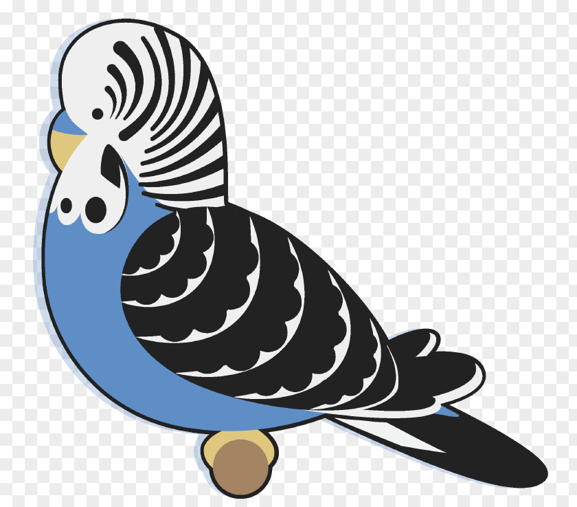 Bird Budgerigar Beak Parakeet Clip Art PNG