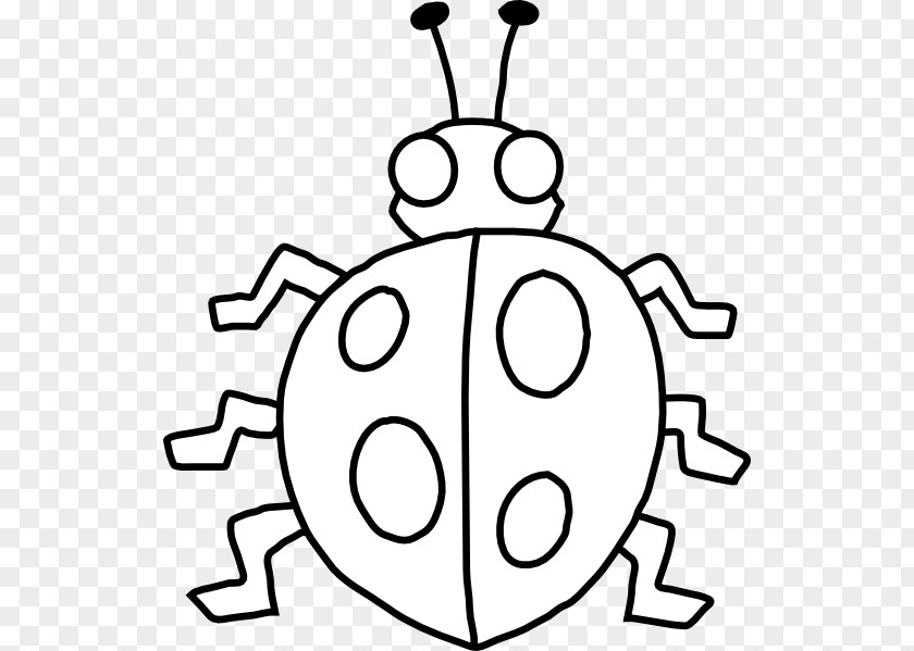 Bug Cliparts Black Beetle And White Clip Art PNG