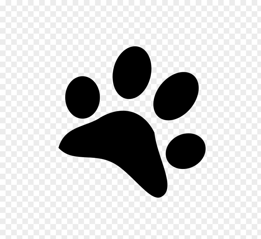 Dog Footprint Paw Sakumoto Animal Clinic New York City Bee PNG