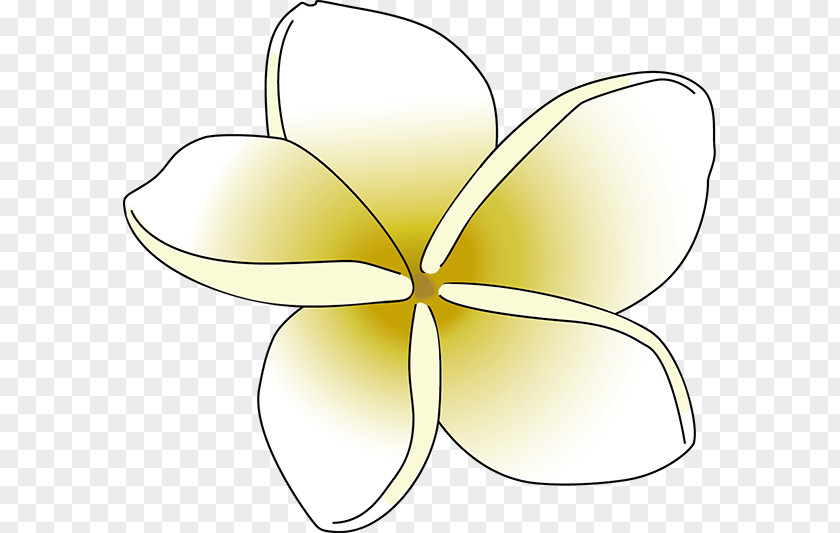 Frangipani Insect Pollinator Butterfly Petal Flower PNG
